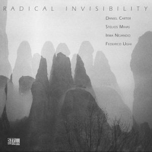 DANIEL CARTER, STELIOS MIHAS, IRMA NEJANDO, FEDERICO UGHI Radical Invisibility