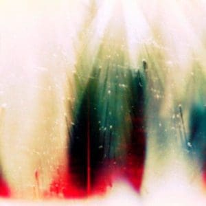WAR ON DRUGS Future Weather