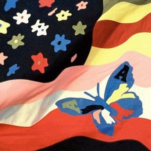 THE AVALANCHES Wildflower 2LP