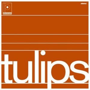 MASTON Tulips