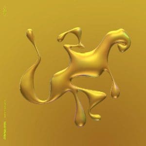 JIMMY EDGAR Cheetah Bend