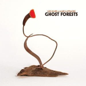 MEG BAIRD & MARY LATTIMORE Ghost Forests (Coke Bottle Clear)
