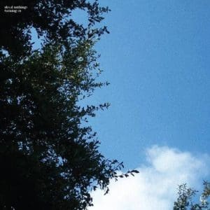 CLOUD NOTHINGS Turning On (Coloured)