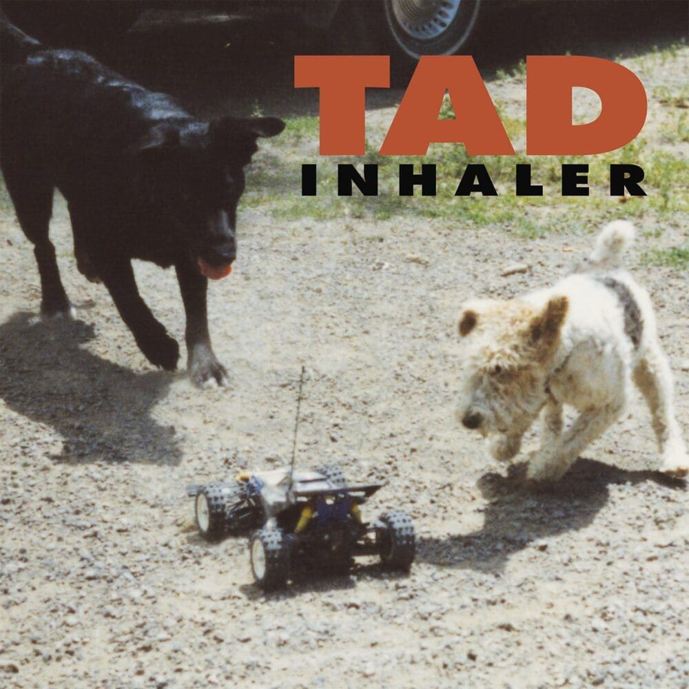 TAD Inhaler