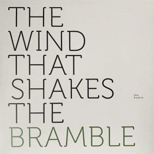 PETER BRODERICK The Wind That Shakes The Bramble