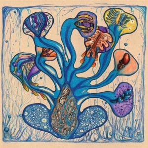 HOUEIDA HEDFI Fleuves de l'Ame CD