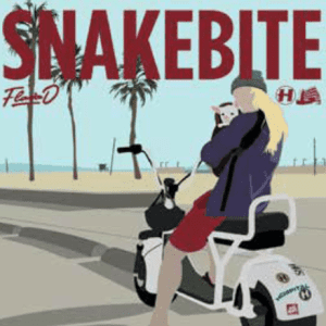 FLAVA D Snakebite / Springloaded 12"