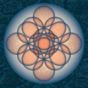 EMBRYO Auf Auf