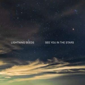 LIGHTNING SEEDS See You In The Stars 2LP