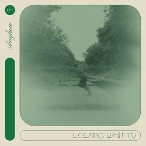 LELAND WHITTY Anyhow