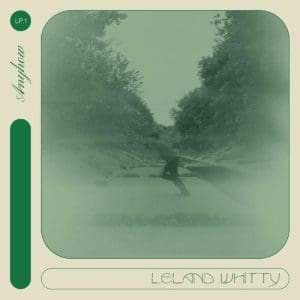 LELAND WHITTY Anyhow CD
