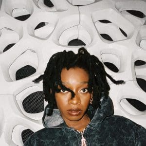 LITTLE SIMZ No Thank You 2LP