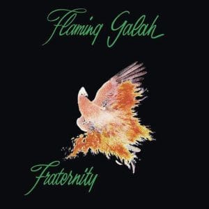FRATERNITY Flaming Galah (coloured) (RSD 2023)