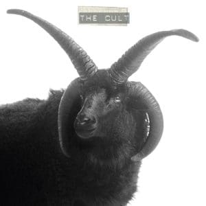 THE CULT The Cult