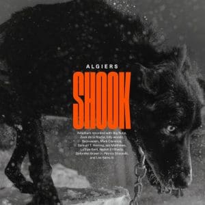 ALGIERS Shook 2LP