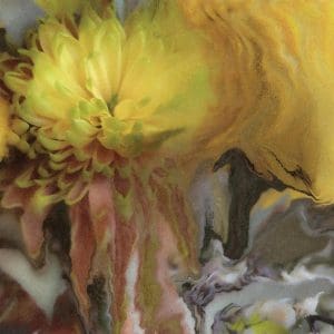 PARKER MILLSAP Wilderness Within You 2LP