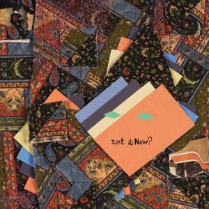 ANIMAL COLLECTIVE Isn't It Now? (deluxe coloured)