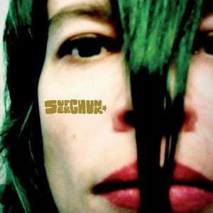 SUPERCHUNK Misfits & Mistakes: Singles, B-sides & Strays 2007 - 2023 4LP
