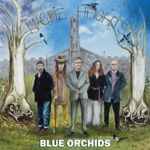 BLUE ORCHIDS  Magpie Heights