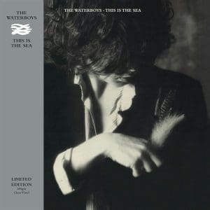 THE WATERBOYS This Is The Sea (Clear)