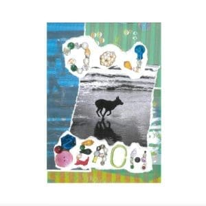 MERRYN JEAN Dog Beach