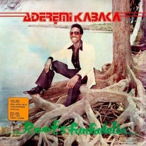 REMI KABAKA Roots Funkadelia