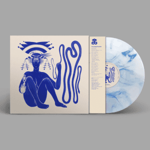 HIATUS KAIYOTE Love Heart Cheat Code (indies blue & white marbled)