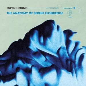 ESPEN HORNE The Anatomy Of Serene Eloquence