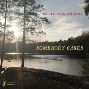 COLD DIAMOND & MINK & JONNY BENAVIDEZ Somebody Cares (My Echo, Shadow and Me Instrumentals)