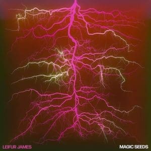 LEIFUR JAMES Magic Seeds