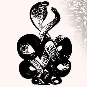 BARDO POND Volume 4 & 5 2LP