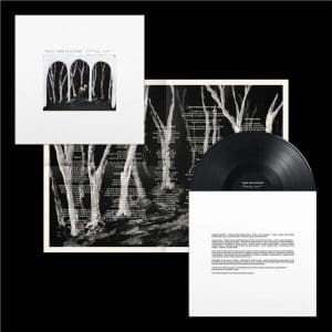 THESE NEW PURITANS Crooked Wing