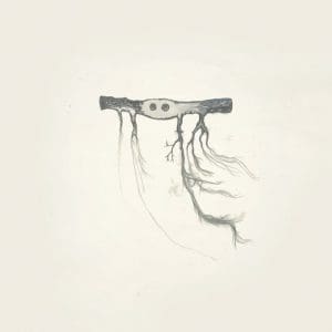 JOSE GONZALEZ In Our Nature