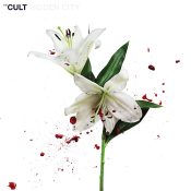 THE CULT Hidden City (CV 45 Audiophile Edition) 2LP