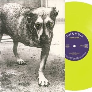 ALICE IN CHAINS Alice In Chains (30th Anniversary Neon Yellow Transparent) 2LP