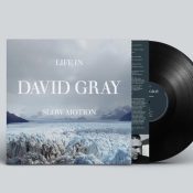 DAVID GRAY Life In Slow Motion (20th Anniversary Edition)