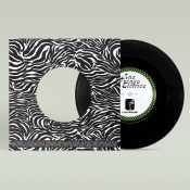 ANA FRANGO ELÉTRICO A Sua Diversão/ Não Tem Nada Não 7"