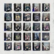 SARATHY KORWAR There Is Beauty, There Already