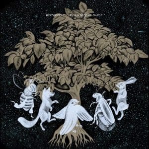 WINTERPILLS This Is How We Dance CD