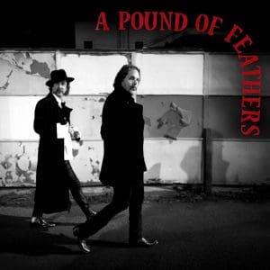 THE BLACK CROWES A Pound Of Feathers CD