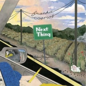 FRANKIE COSMOS Next Thing (10th Anniversary Edition 'Fools Gold' Coloured) (RSD 2026)